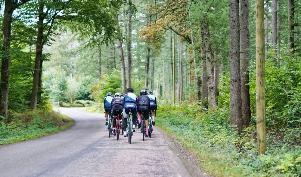 A group of cyclists riding on a road through a forest