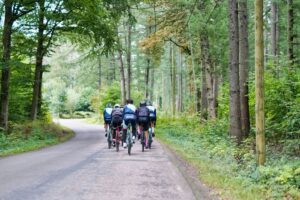 A group of cyclists riding on a road through a forest