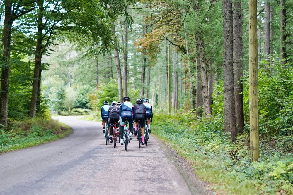A group of cyclists riding on a road through a forest